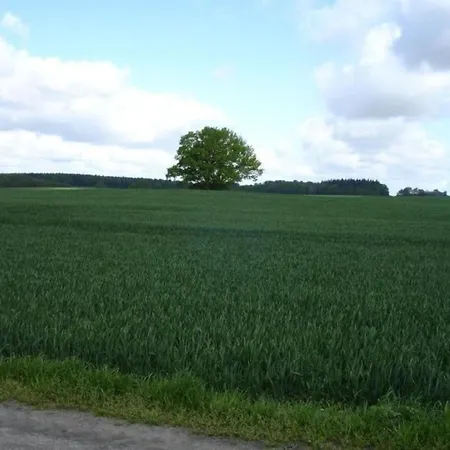 Ferienhaus Am Rande Schwerins Casa de Férias Schwerin (Mecklenburg-Vorpommern)